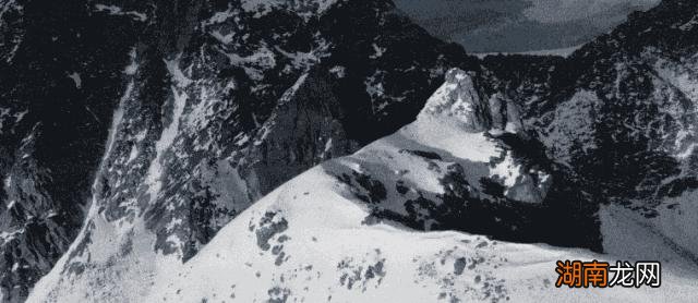 品牌的发展历史介绍 la prairie是什么牌子