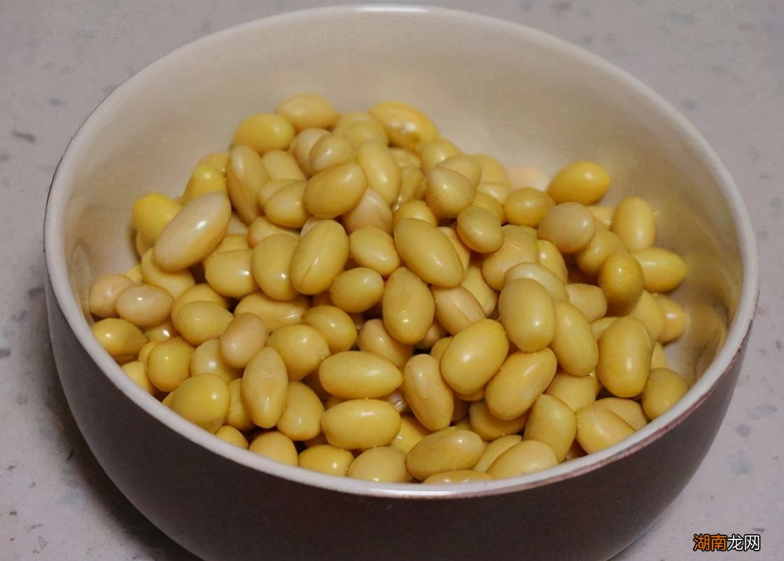 在家自制发豆芽怎么又简单又快 生豆芽最简单的方法