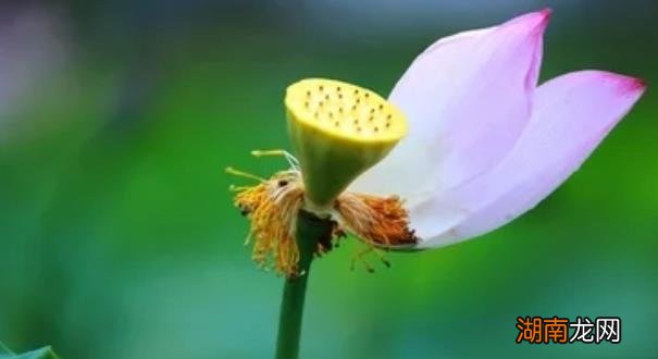 迷茫不知道干什么挣钱 人生迷茫的时候该怎么办