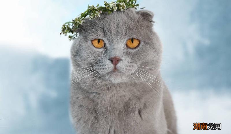 巨蟹男遇到真爱的反应 巨蟹男喜欢你的30表现