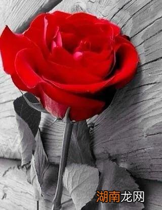 夫妻双方出轨还可以继续吗 双方都出轨的婚姻还能和好吗