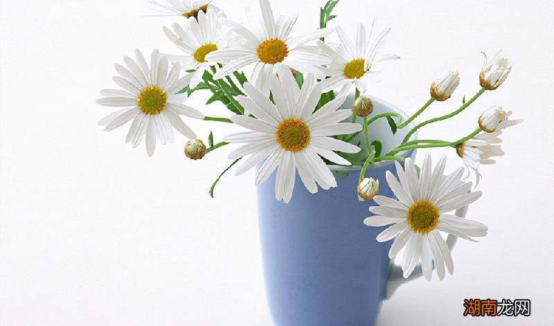 发现丈夫有外遇的嫌疑怎么办 发现老公有外遇怎么处理办法