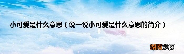 说一说小可爱是什么意思的简介 小可爱是什么意思