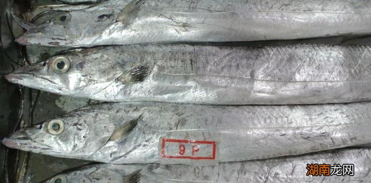 为什么国产比进口好吃 国产带鱼和进口带鱼有什么区别