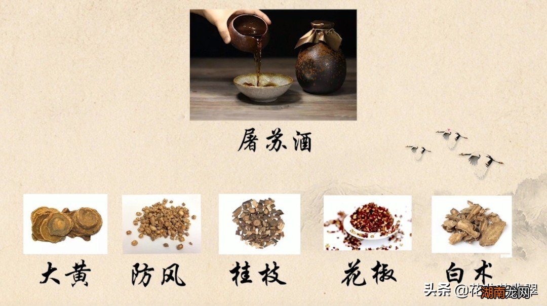 古代屠苏酒为什么叫屠苏酒 屠苏酒是什么酒是何来历