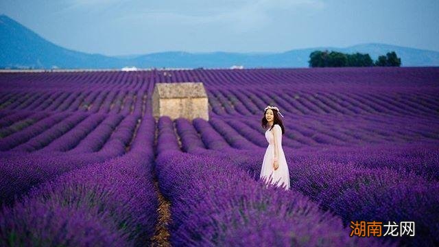 发现老公出轨要摊牌吗 发现老公出轨女人最明智的做法