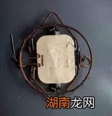 家庭怎么快速逮老鼠简单方法 家里抓老鼠最有效方法