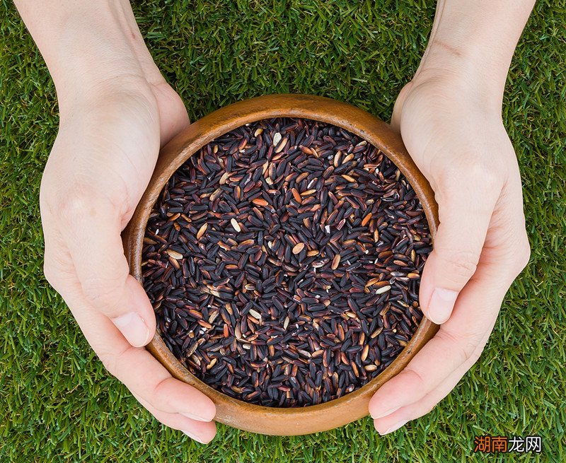 黑米和黑糯米功效一样吗 黑米和黑糯米有什么区别