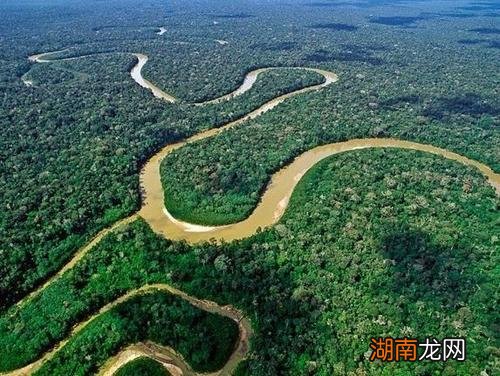 亚马逊Prime是消防电话的最大卖点吗