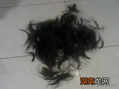 理发店里的碎头发回收有什么用呢 碎头发回收有什么用途