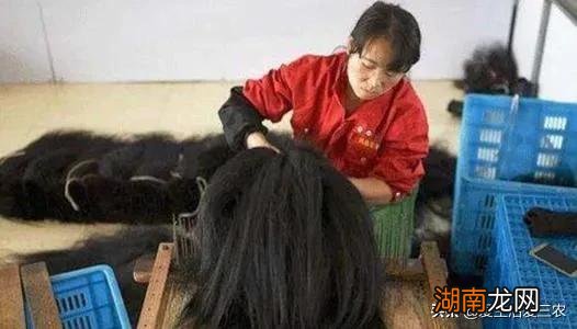 理发店里的碎头发回收有什么用呢 碎头发回收有什么用途