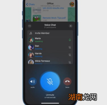 Telegram增加实时群组语音聊天功能 可以在SD卡上存储应用数据