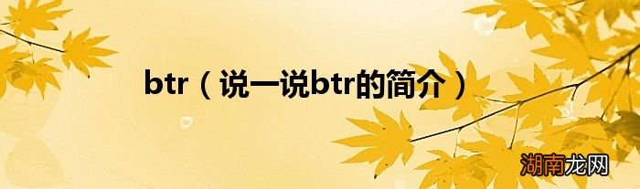 说一说btr的简介 btr