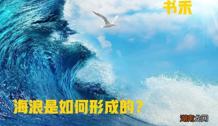 海面上蓝色巨浪是怎么形成的 海浪是怎么形成的简介