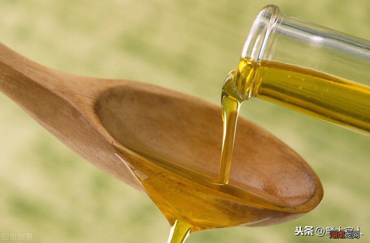 橄榄油和平常的油有什么不一样吗 橄榄油和普通油的区别