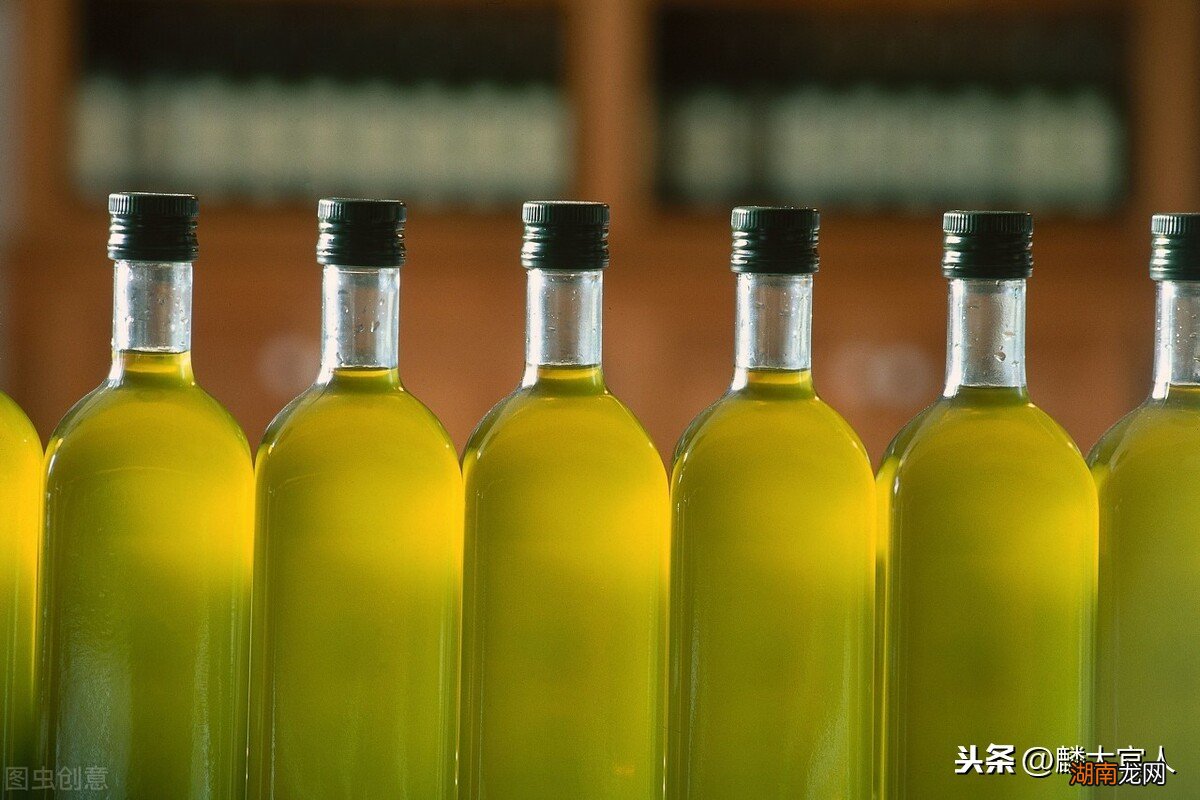 橄榄油和平常的油有什么不一样吗 橄榄油和普通油的区别