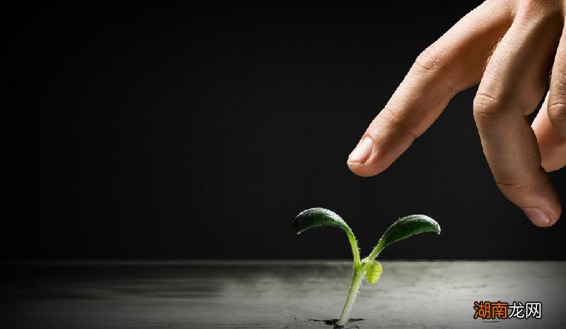 地球的海洋是怎么形成的 地球上的水是从哪里来的