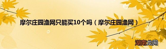 摩尔庄园渔网 摩尔庄园渔网只能买10个吗