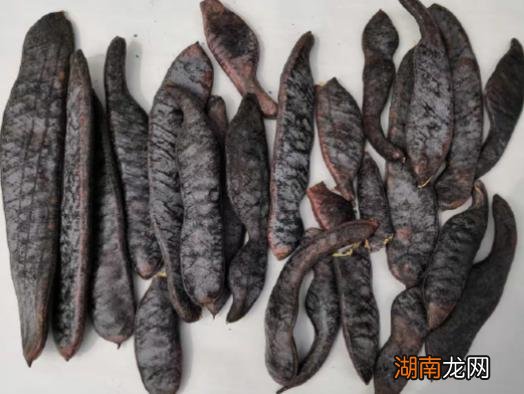 没有洗发水该怎么洗头 洗面奶和沐浴露可以洗头吗