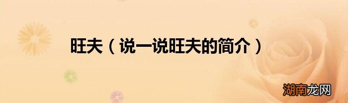 说一说旺夫的简介 旺夫