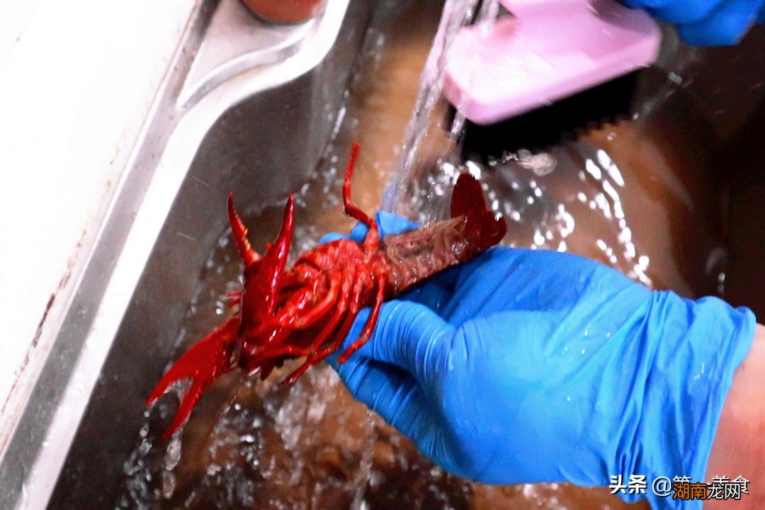 小龙虾虾黄是什么东西究竟能不能吃 虾黄是什么东西