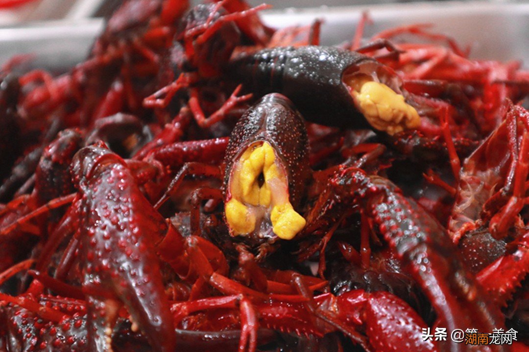 小龙虾虾黄是什么东西究竟能不能吃 虾黄是什么东西