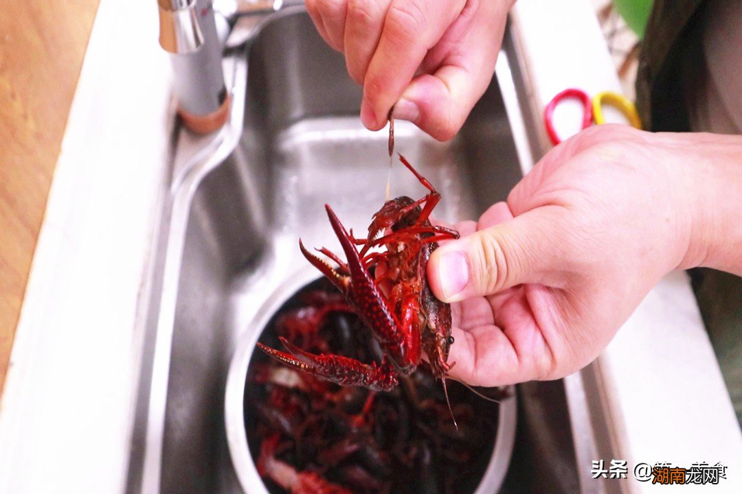 小龙虾虾黄是什么东西究竟能不能吃 虾黄是什么东西