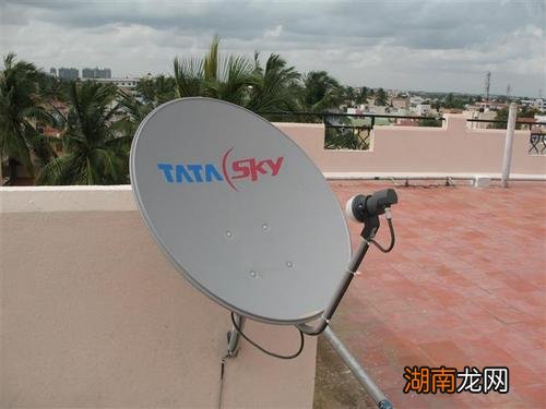 Tata Sky Web Version推出这里是如何在线观看直播电视