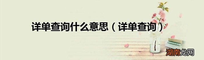 详单查询 详单查询什么意思