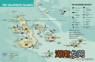 加拉帕戈斯群岛地势气候特征 加拉帕戈斯群岛终年寒冷吗