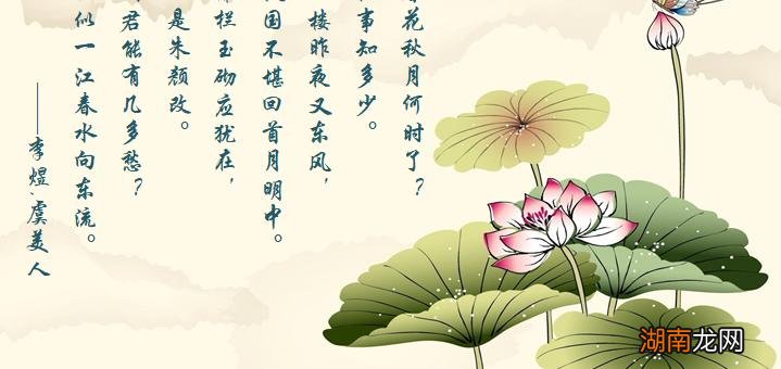 赵光义和小周后是真的历史故事吗 赵光义玩小周后过程