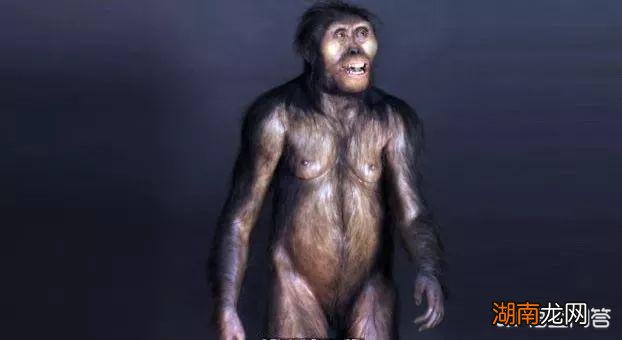 人类的毛发什么时候退化的 人类为什么要褪去全身毛发