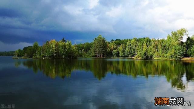 大规模种植桉树对环境有影响吗 广西为什么大面积种植桉树