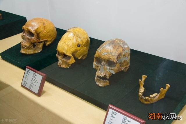 人类最开始怎么繁殖出来的 地球上第一个人类是怎么来的