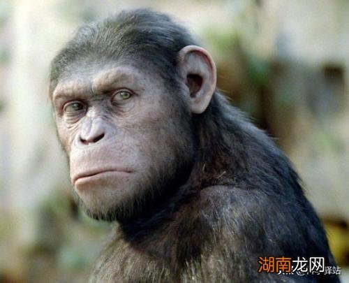 人类最开始怎么繁殖出来的 地球上第一个人类是怎么来的