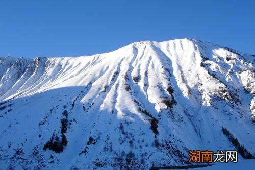 stockPhotos应用程序不允许您编辑视频的尺寸和文件大小