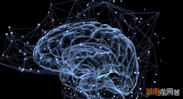 蚯蚓变成两条是两个生命吗 蚯蚓一分为二有两个一意识吗