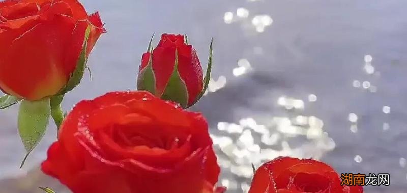 青春期女生暗恋男生的举动 学生时期女生暗恋男生的表现