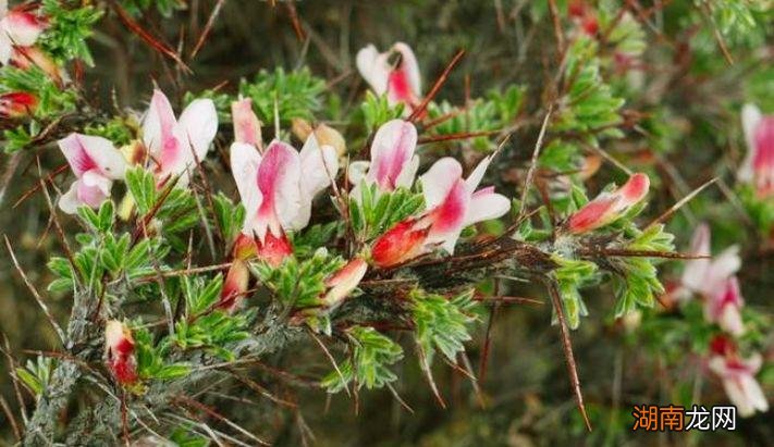 紫禁城皇宫的恐怖传说存在吗 紫禁城到底有多恐怖