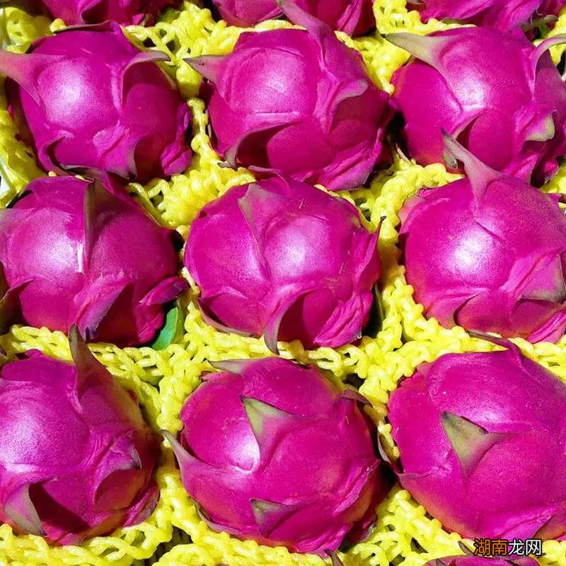 哪六种水果寓意好一次买几个 六种寓意好的水果