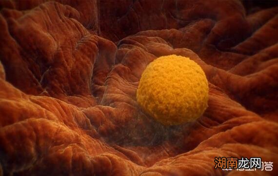 人死灵魂还存在这个世界吗 人死后的意识存在在宇宙里吗