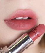 豆沙色口红哪个牌子好用 迪奥772口红适合人群