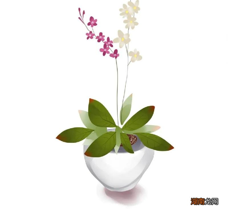 对待冷暴力的男友最佳处理方式 对付男朋友冷战的绝招