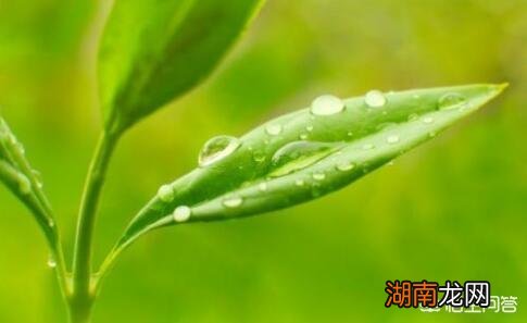 地球的水量是永远不变的吗 地球上的水会增加或减少吗