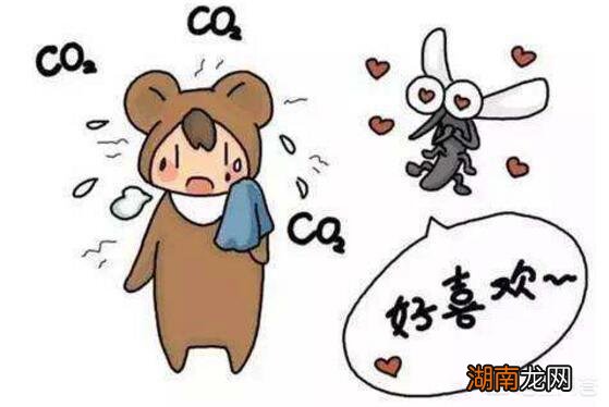 夏天蚊子喜欢咬什么人 老被蚊子咬跟血型有关吗