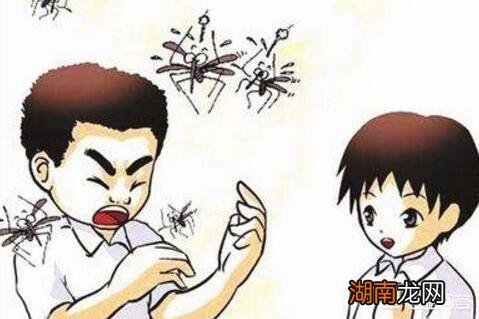 夏天蚊子喜欢咬什么人 老被蚊子咬跟血型有关吗