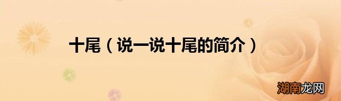 说一说十尾的简介 十尾