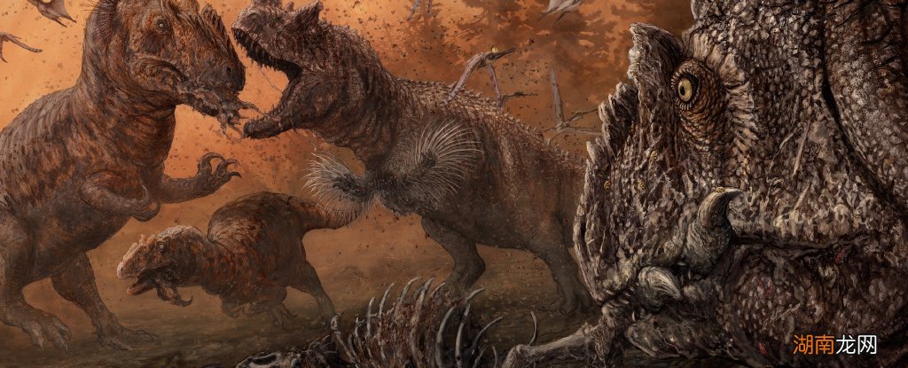 异特龙存在于哪一个时期 异特龙是食肉还是食草动物