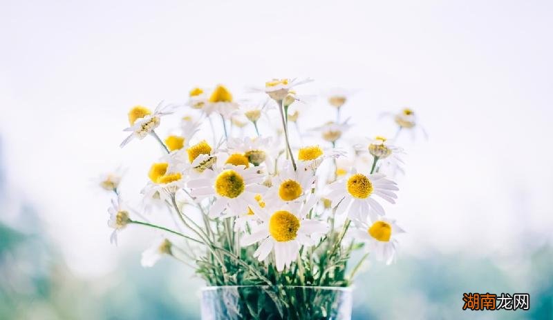 喜欢一个男人该怎么表白 怎么跟男生表白最容易打动他