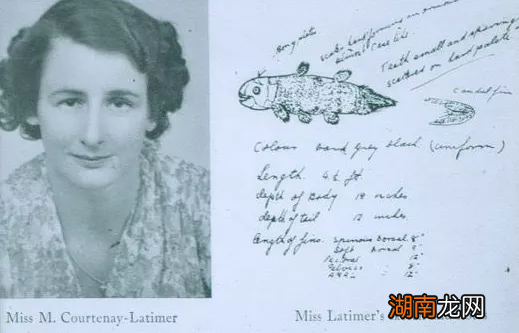 灭绝动物还可不可以再次复活 复活成功的灭绝动物